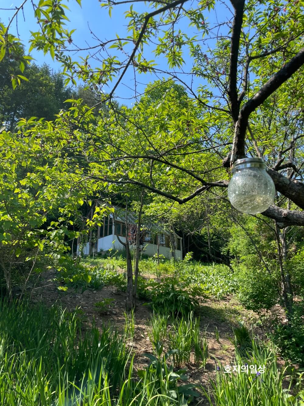 홍천 카페 맛집 러스틱 라이프 - 유리온실 독채