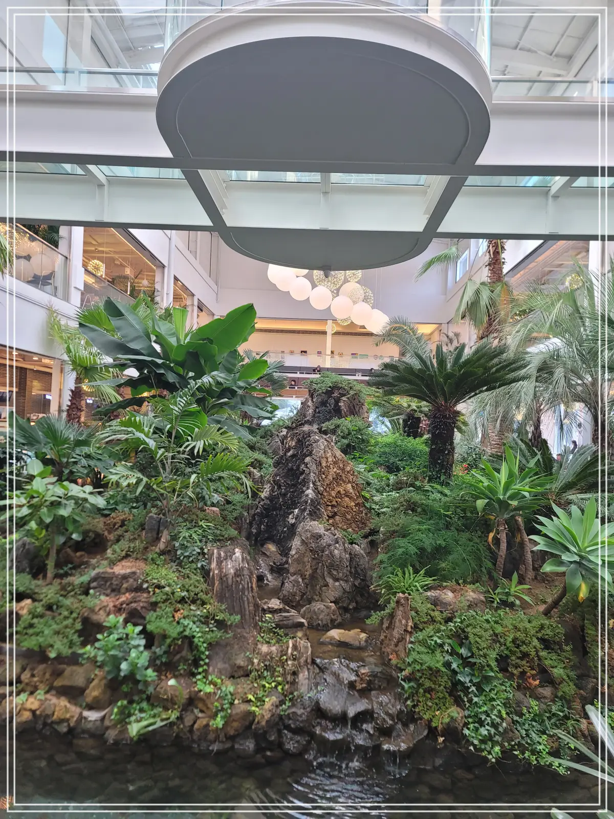 팜브릿지-중앙-식물원