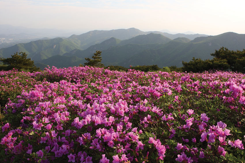 천성산 등산지도