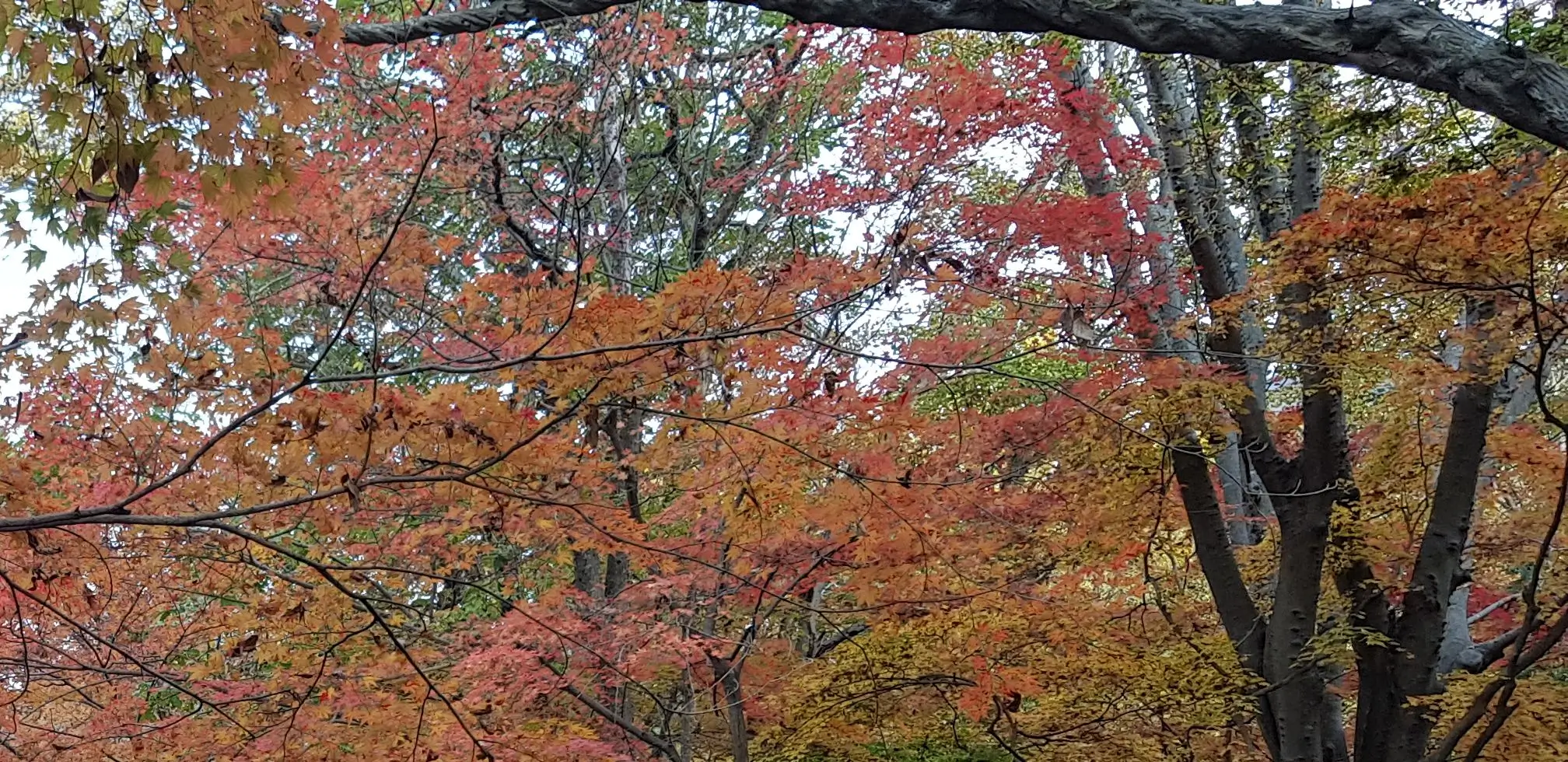 장태산 자연휴양림 예약 방법 및 숙박 입장료