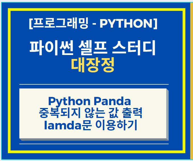 중복되지-않는-값-출력-lamda