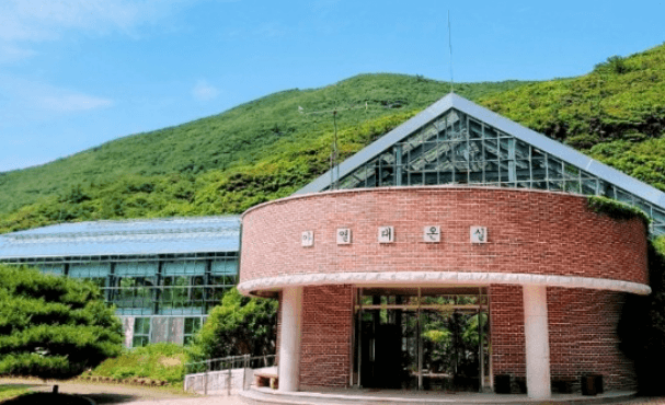 완도 숙박 신지면 명사십리 독채펜션 추천