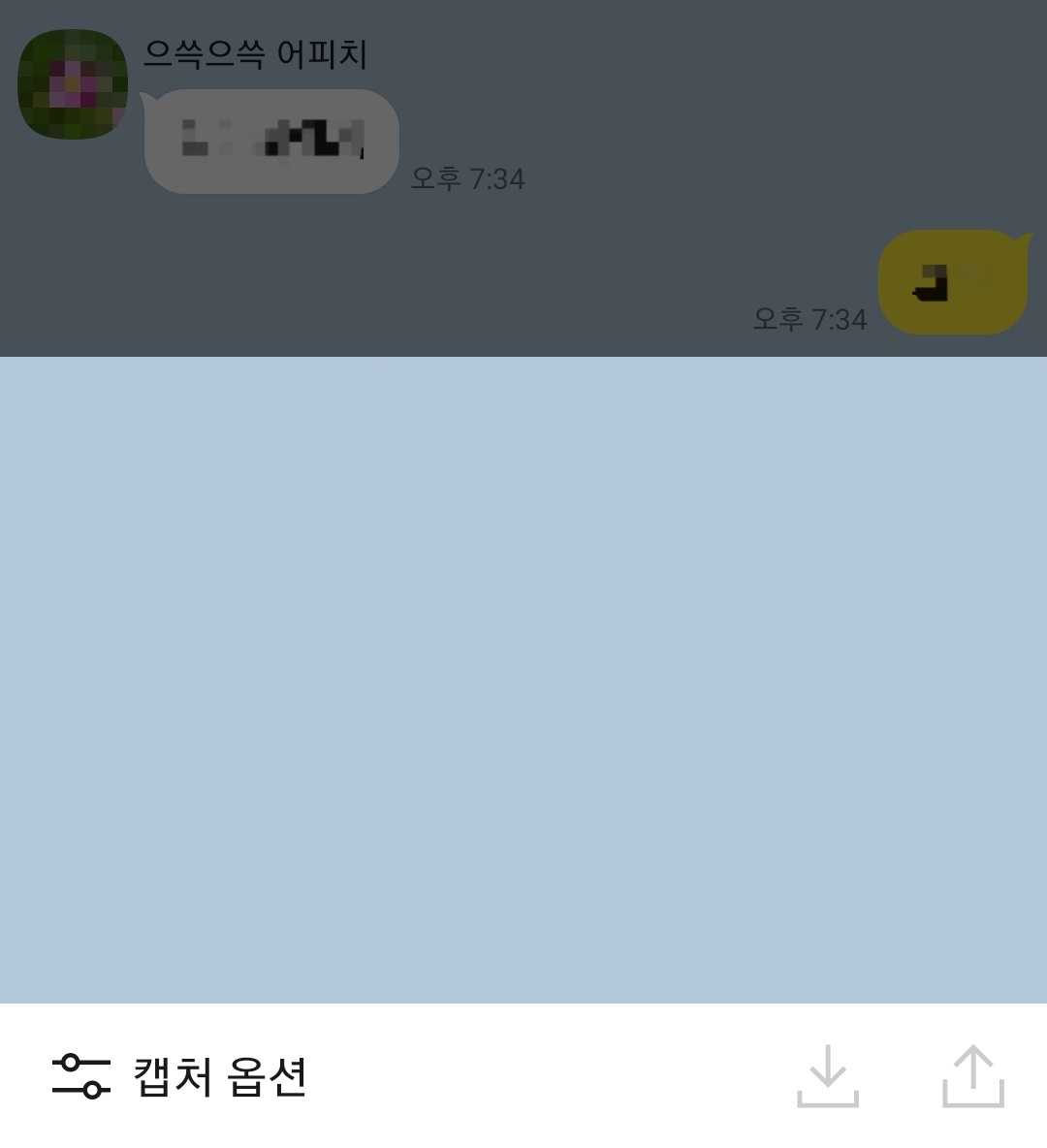 카톡-모자이크(6)