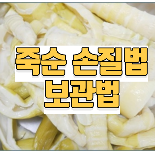 죽순 손질법에서 죽순삶기와 죽순 보관법