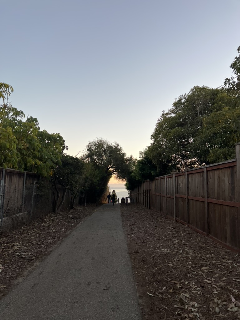 메사 레인 계단2