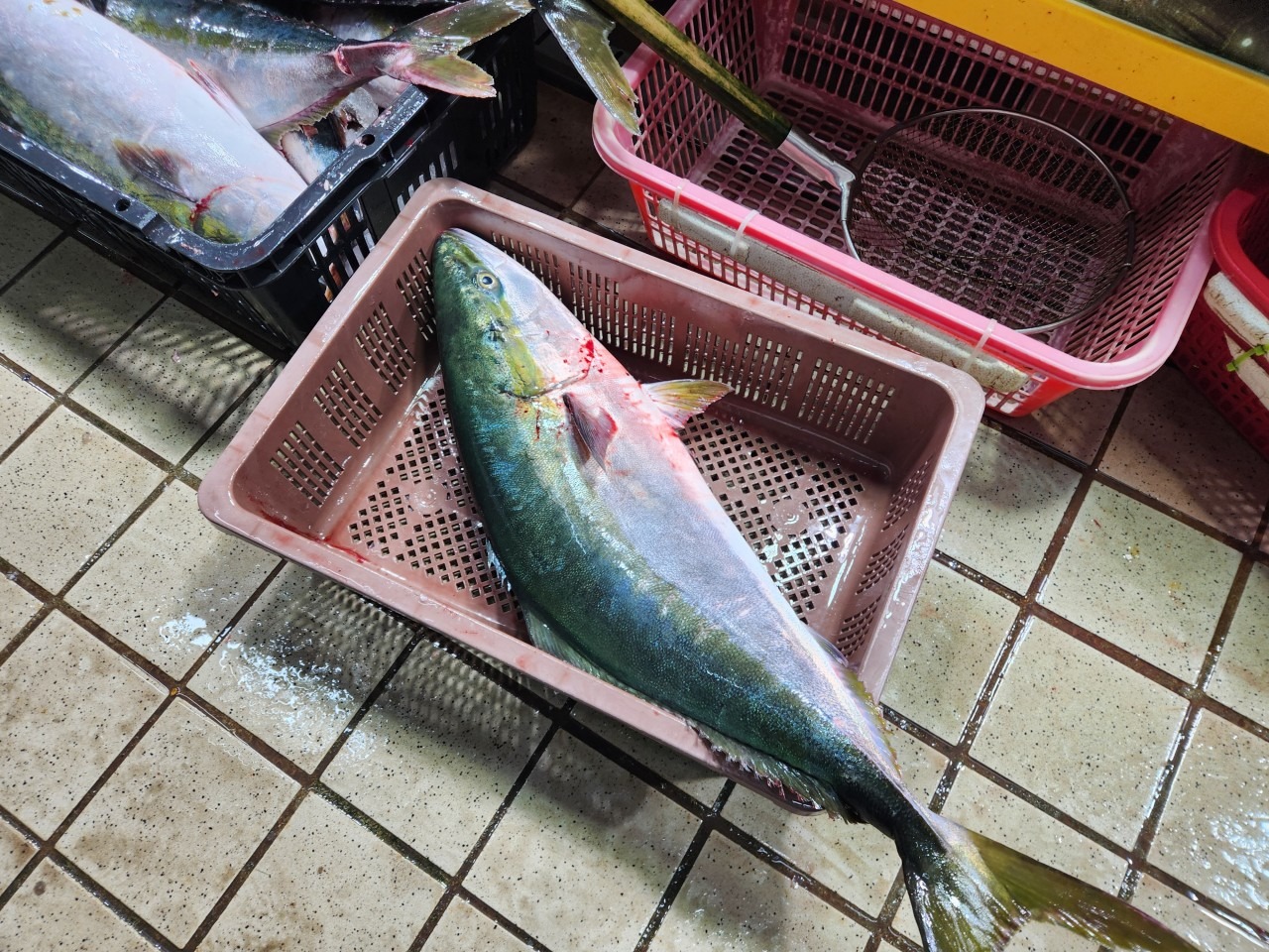 수산물 할인행사 및 대한민국 수산대전 총정리