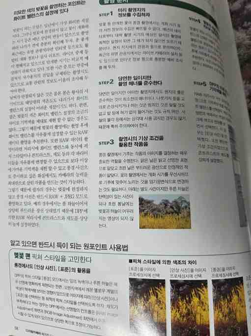 Canon EOS 30D와 가이드북으로 다시 익힌 구도 감각의 원리