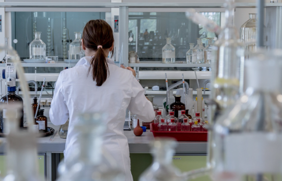 강남 맛집 독도 꽃새우영번지 메뉴 예약 가격 주차장 꿀팁