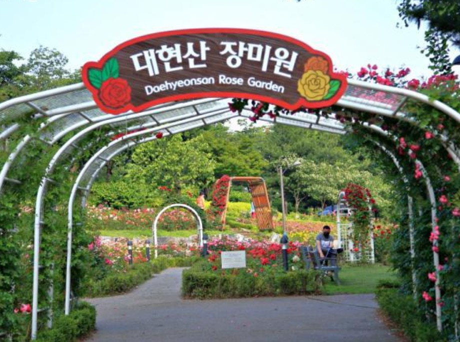 5월 서울 봄꽃 산책로