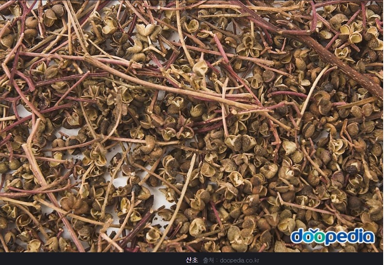 산초 산초나무 열매 산초 효능