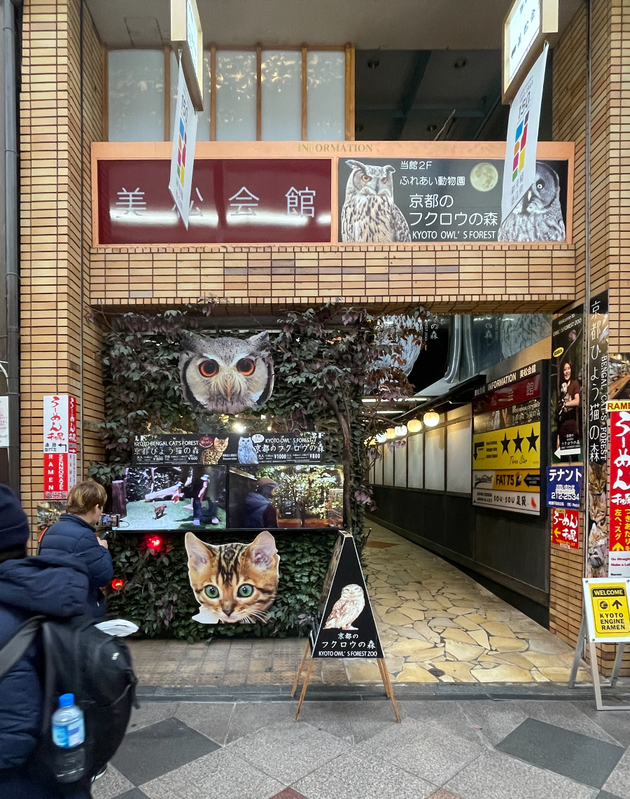 테라마치 거리 부엉이카페