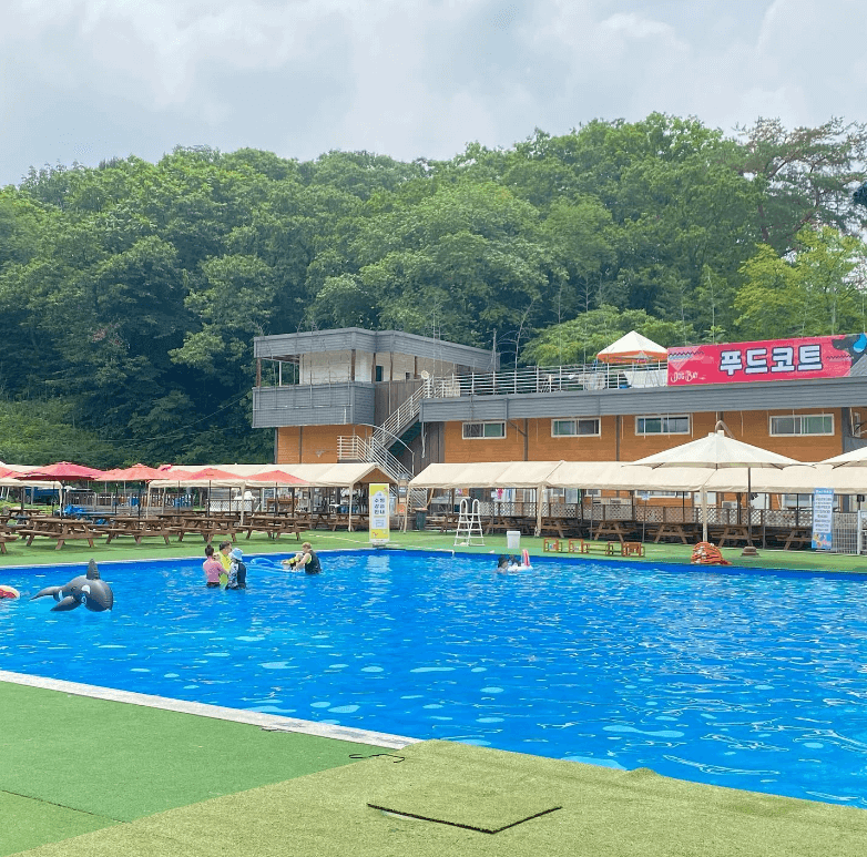 도그스포지움 송추점