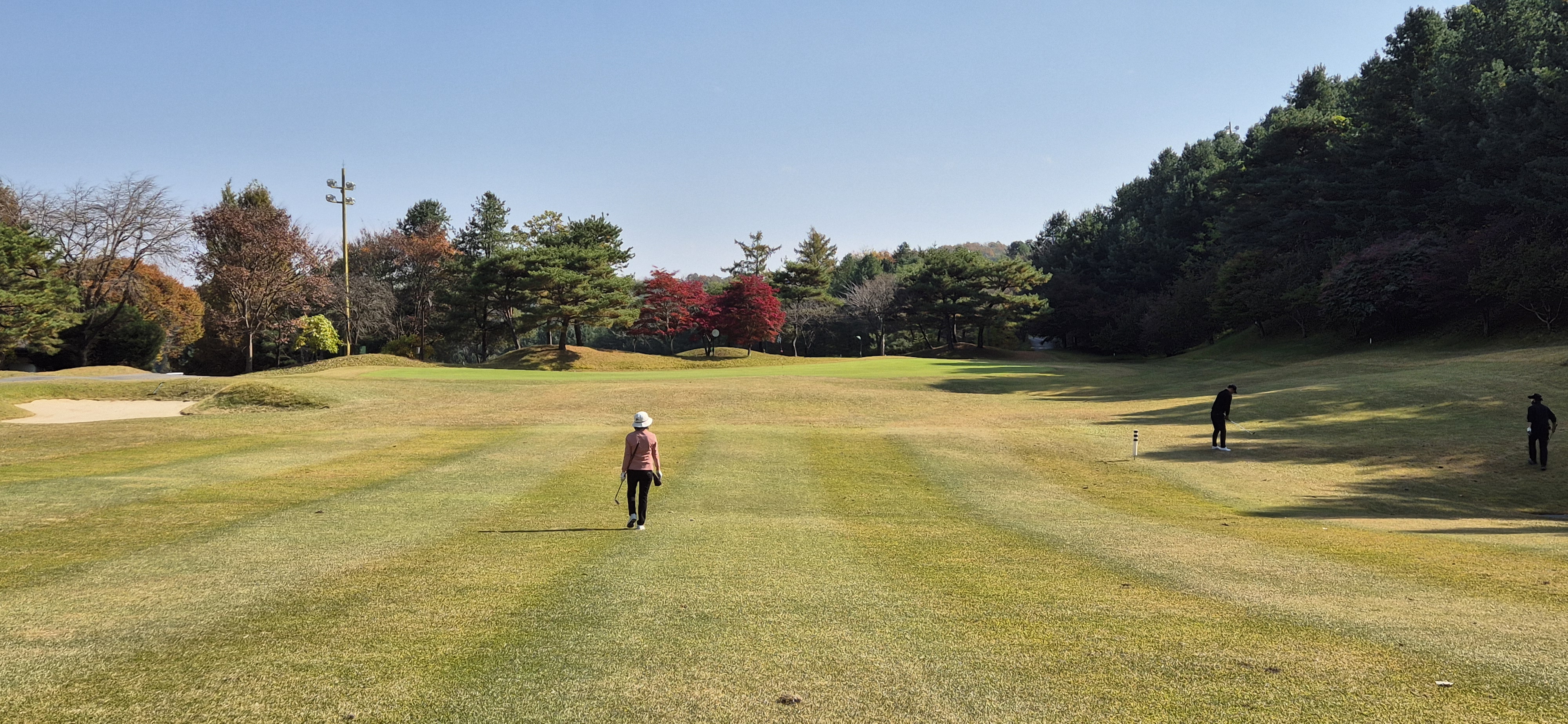 시그너스cc 실크코스 사진 및 공략 정보