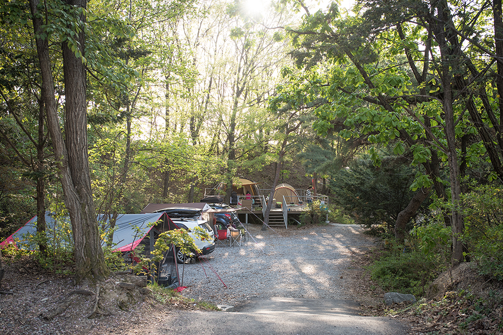 용인 마운틴캠핑장 소개