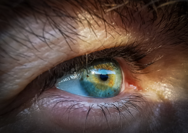 디지털 눈 피로 시대의 눈 건강 리셋 프로그램