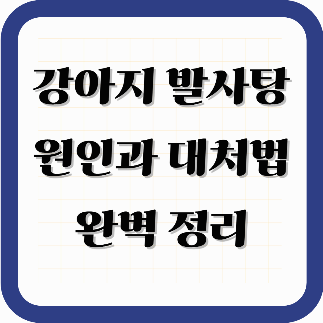 강아지 발사탕, 괜찮을까?