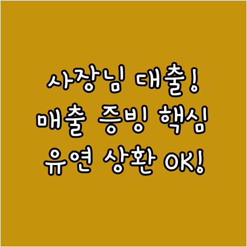 매출 증빙 기반 사장님대출: 한도 결..