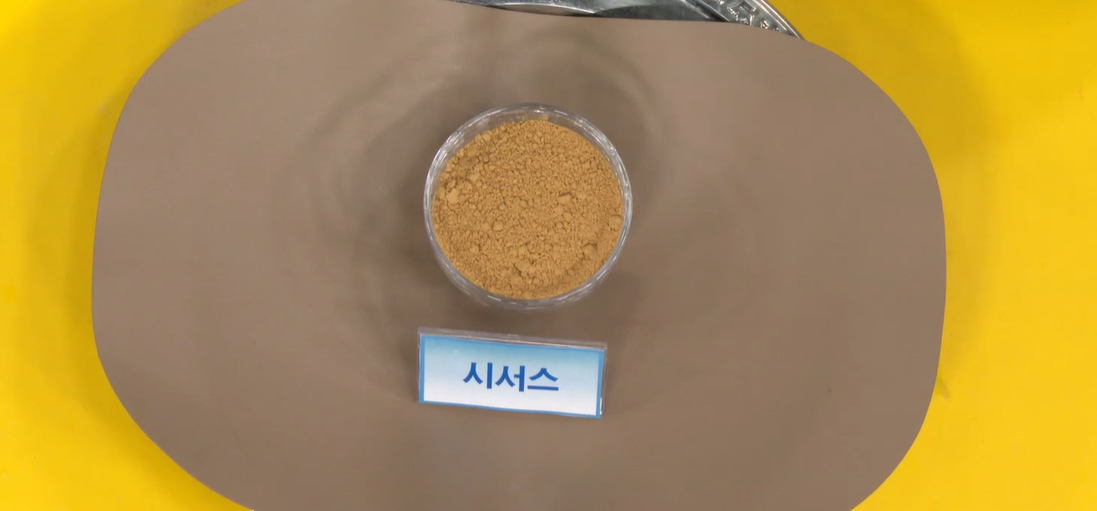 시서스