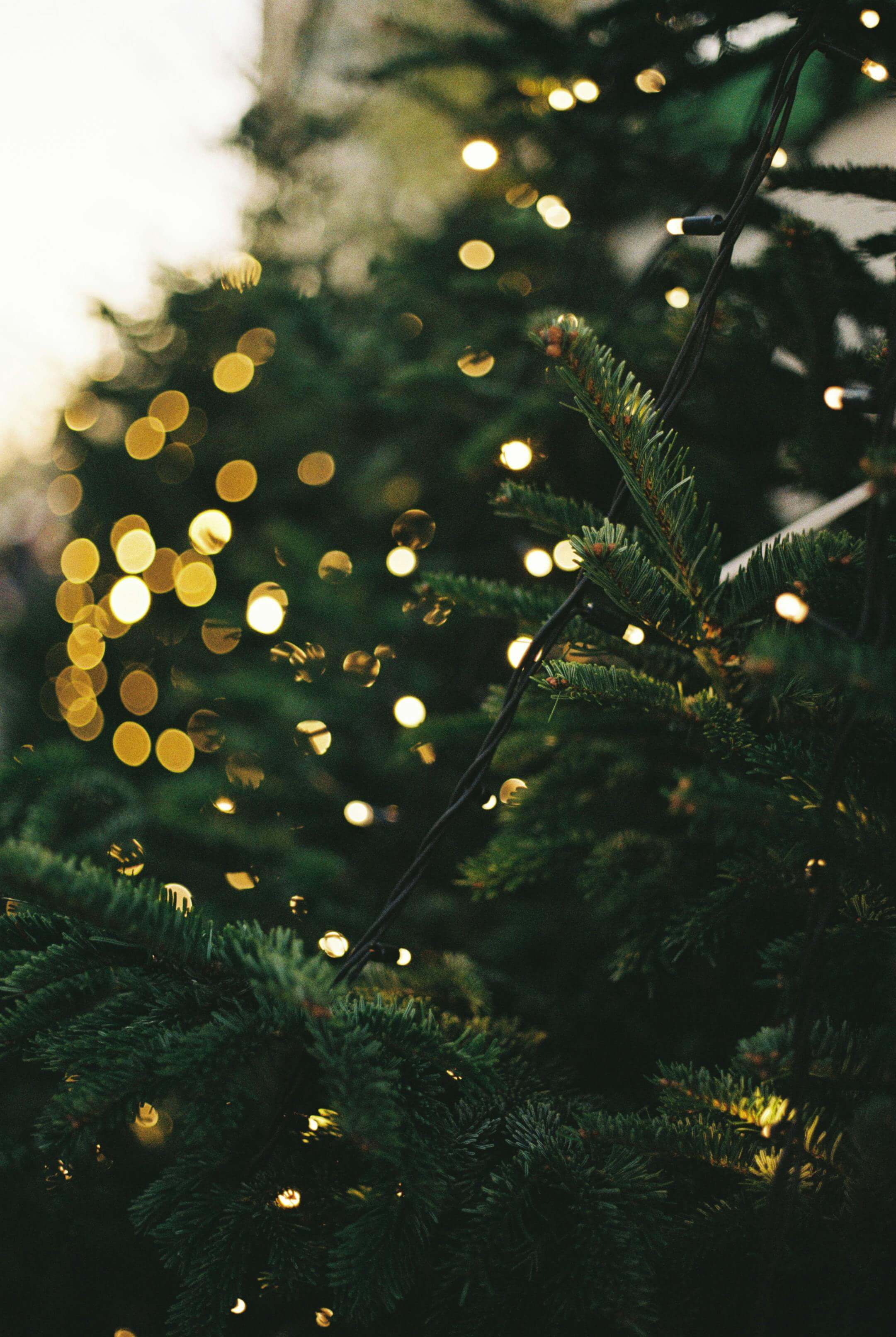 2025 서울 크리스마스 축제 BEST 5곳 정리