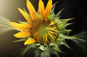 인천공항 환전소 시간 및 유의사항