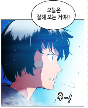 넷플릭스 애니 나 혼자만 레벨업 줄거리