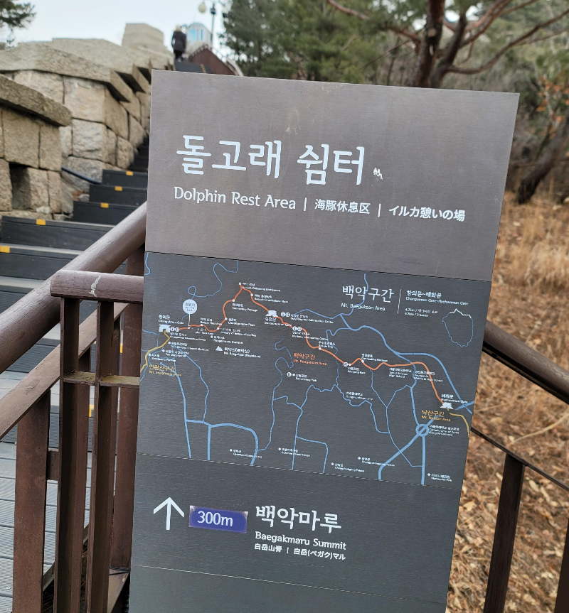 돌고래 쉼터