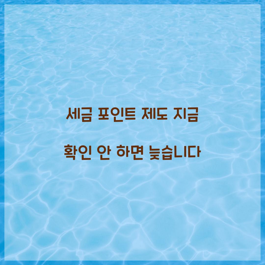 세금 포인트 제도 지금 확인 안 하면 늦습니다  