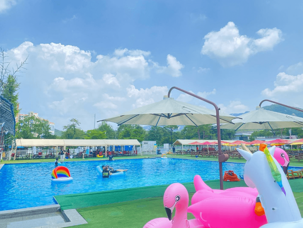 도그스포지움 송추점