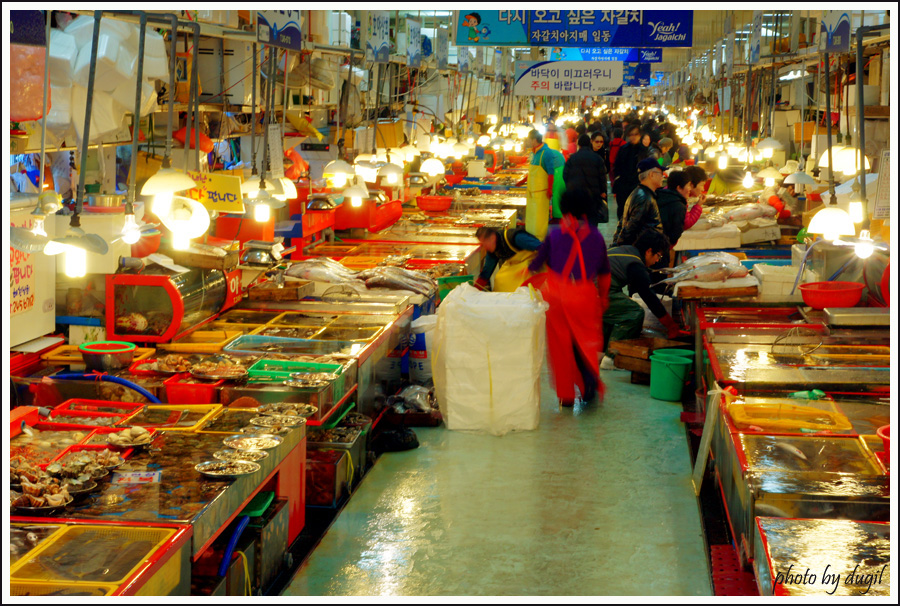 부산 여름 휴가, 자갈치 시장