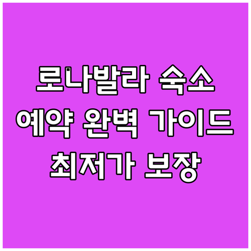 로나발라 숙소 예약 완벽 가이드 가격