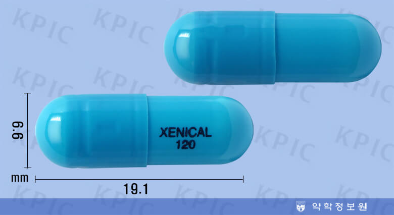 제니칼 캡슐 사진