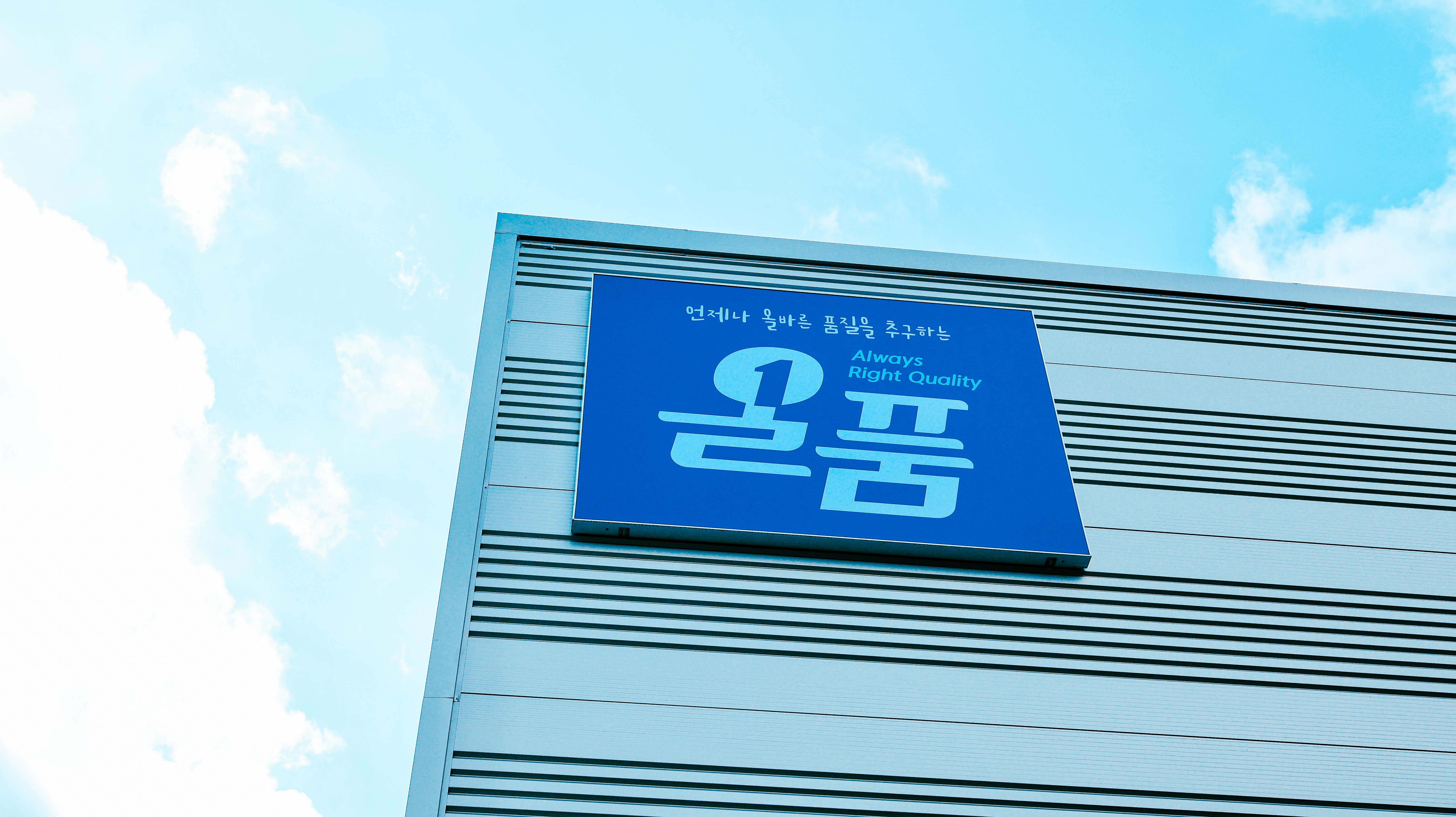 케이블타이 기업