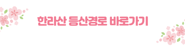 봄꽃 여행지