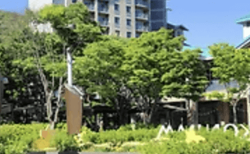  수락 휴 트리하우스 