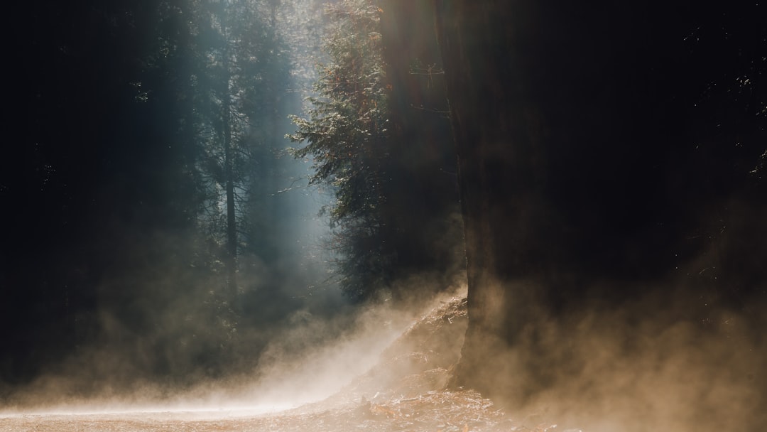 Dust.