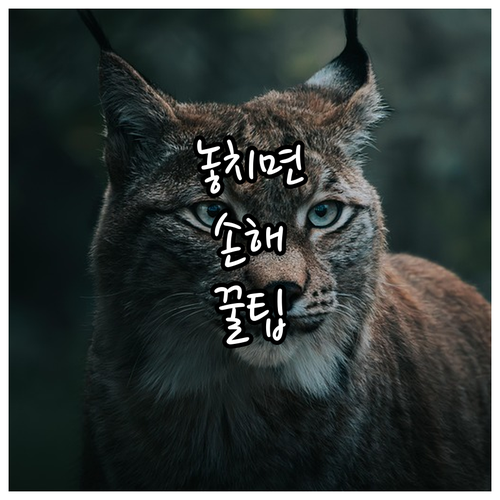 갑작스러운 장례비 걱정 끝! 2025..