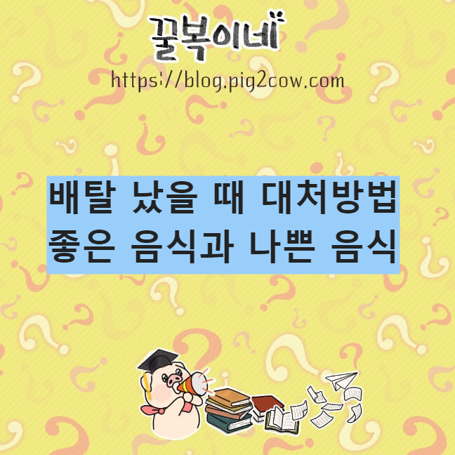 생활정보