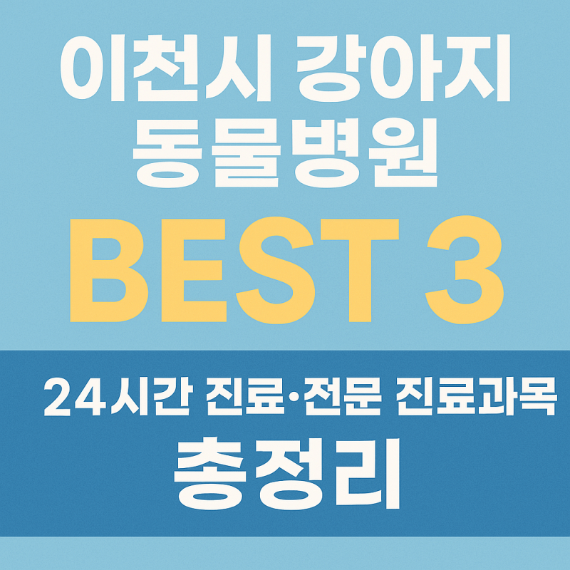 이천시-강아지-동물병원-BEST-3-썸네일