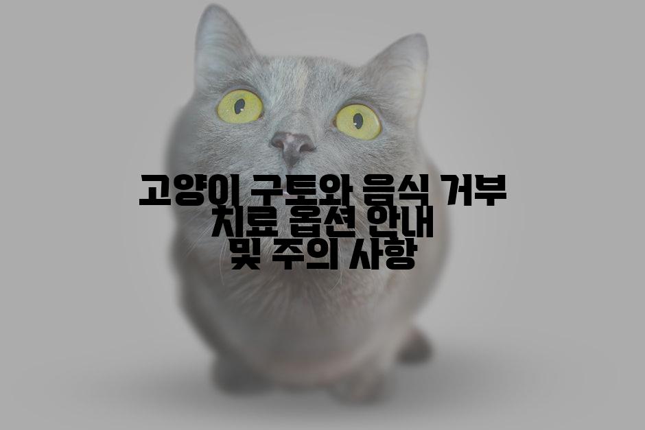 고양이 구토와 음식 거부 치료 옵션 안내 및 주의 사항