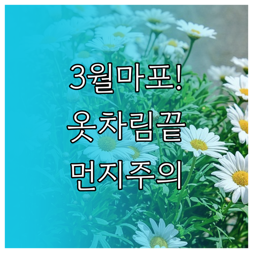3월 마포구 나들이 옷차림 및 미세먼..