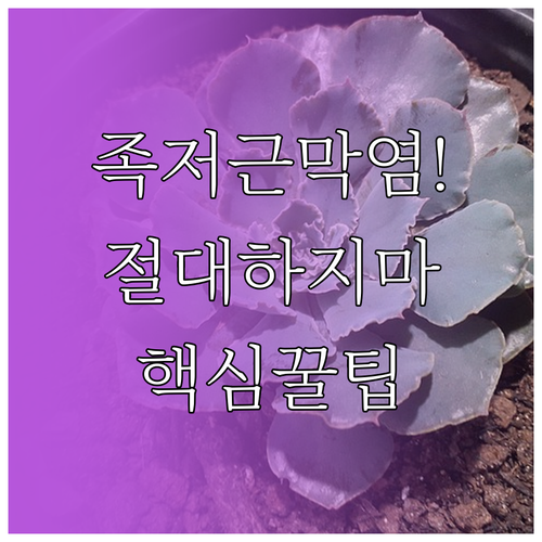 족저근막염 있을 때 하지 말아야 할 ..