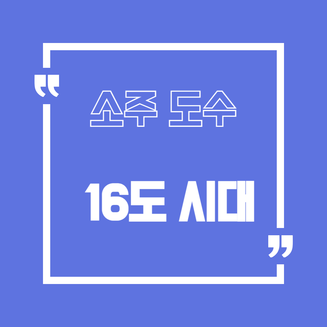 소주 도수 총정리: 16도 시대, 제품별 차이와 확인 방법