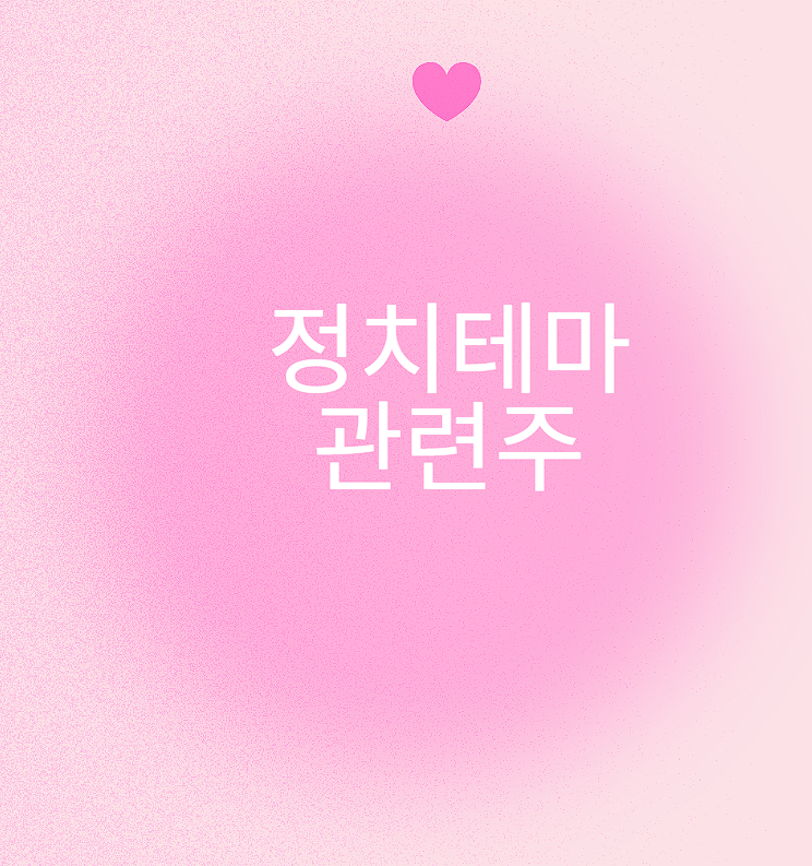 정치테마 관련주 완벽정리