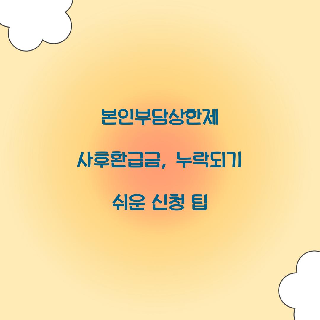 본인부담상한제 사후환급금