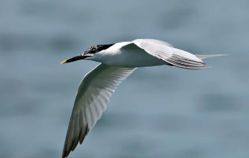 카톡 친구추가하는법 간단 요약 16