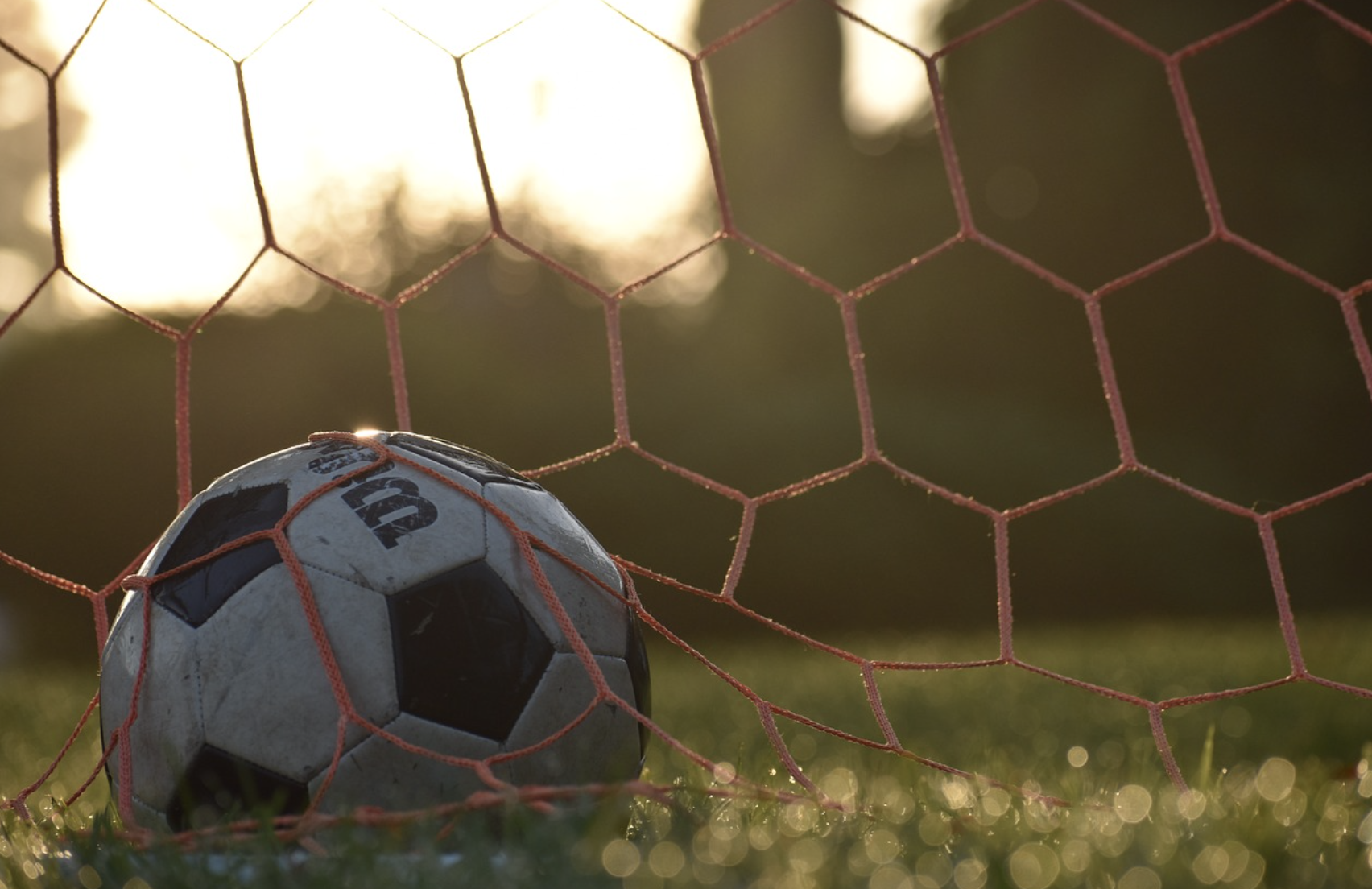 거스 포옛 감독 관련 이미지