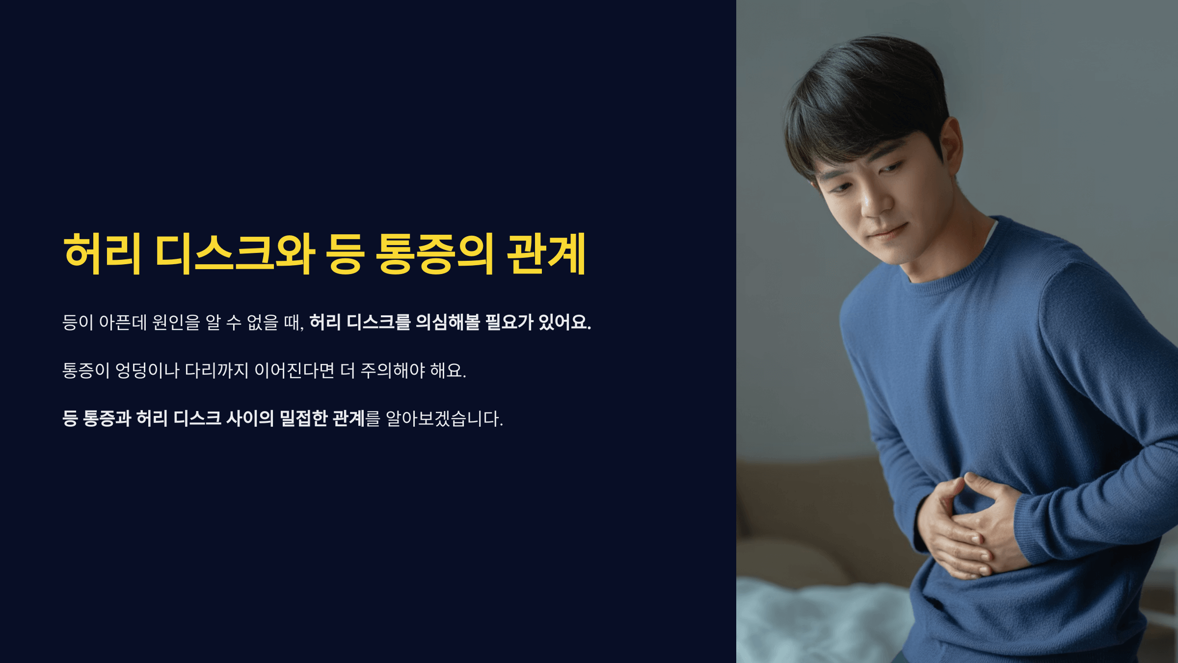 디스크 때문? 등 통증과 허리디스크의 모든 것