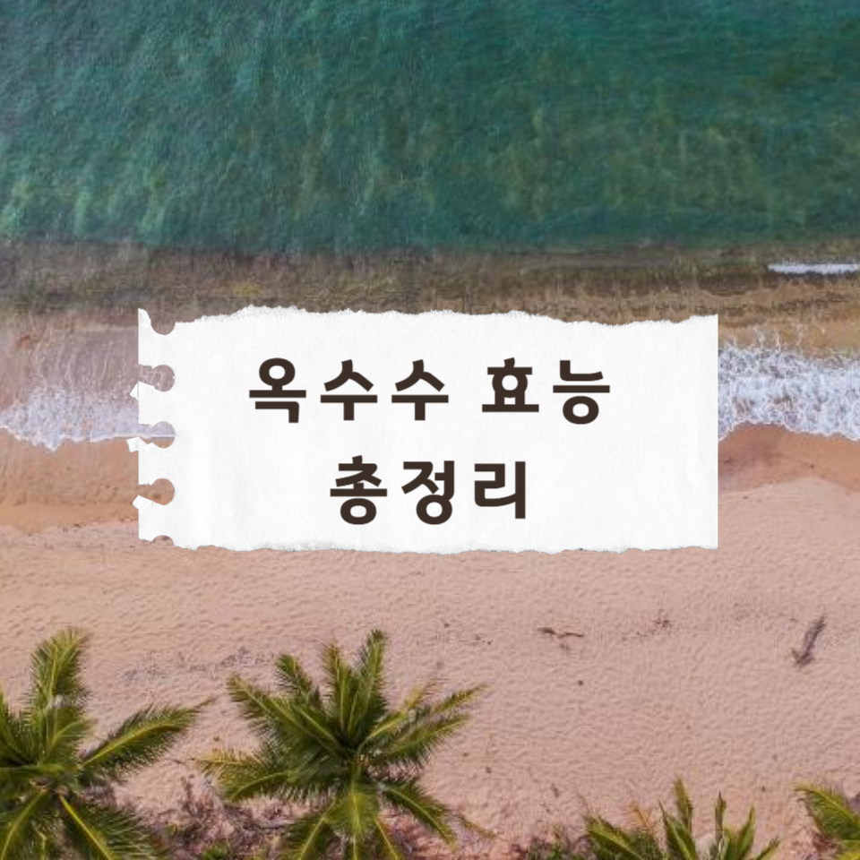 옥수수-효능-총정리