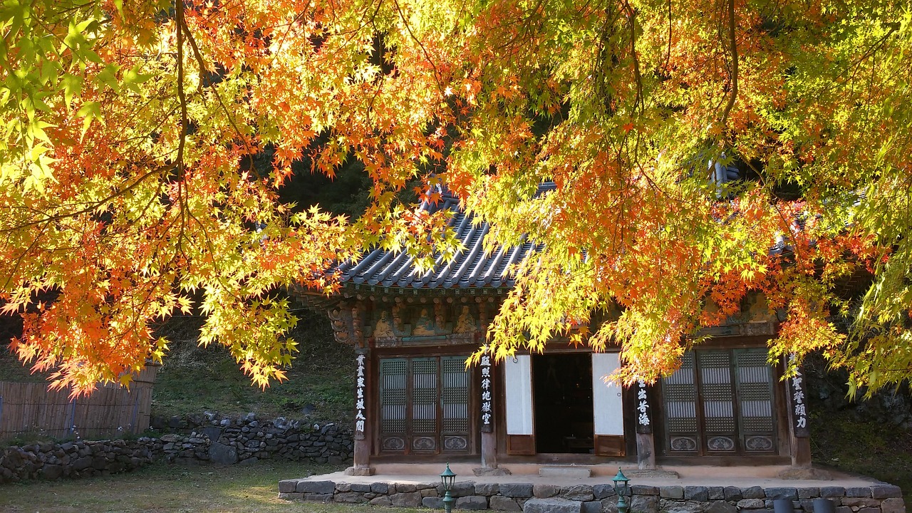 공주 마곡사 관련 사진