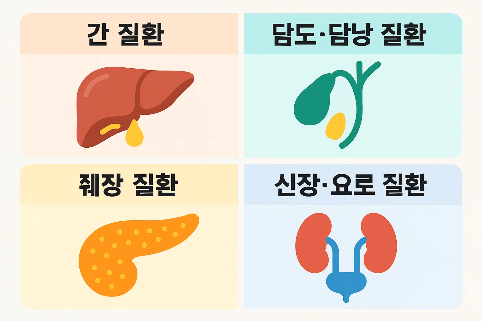 복부CT 검사로 알 수 있는 질병 중 간 질환, 담도·담낭 질환, 췌장 질환, 신장·요로계 질환 등을 정밀하게 파악할 수 있다는 내용을 시각적으로 정리한 인포그래픽 이미지